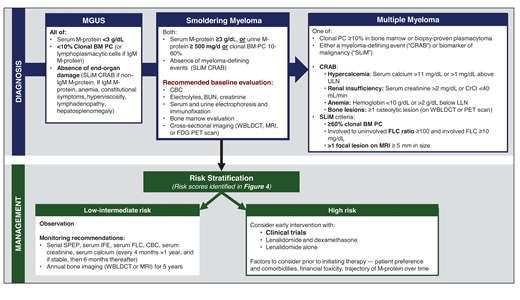 Diagnostic workup, risk stratification, and management of SMM. BUN, blood urea nitrogen; CBC, complete blood count; CrCl, creatinine clearance; IFE, immunofixation; LLN, lower limit of normal; SPEP, serum protein electrophoresis; ULN, upper limit of normal; WBLDCT, whole-body low-dose CT.