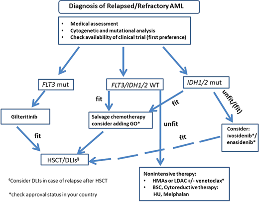 Treatment of relapsed/refractory AML patients considering recently novel substances. dDLI, donor lymphocyte infusion; BSC, best supportive care; HU, hydroxyurea; mut, mutated.