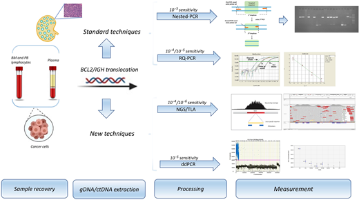 Standard and new techniques to monitor MRD in FL.