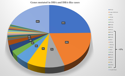 Genes mutated in DBA and DBA-like cases.