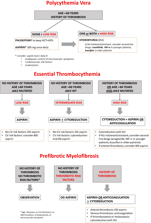 (A) Thromboprophylaxis in PV according to risk stratification. (B) Thromboprophylaxis in ET according to risk stratification. (C) Thromboprophylaxis in pre-MF according to risk stratification. BID, twice daily; HCT, hematocrit; INF-α, interferon α; OD, once daily; WT, wild type.