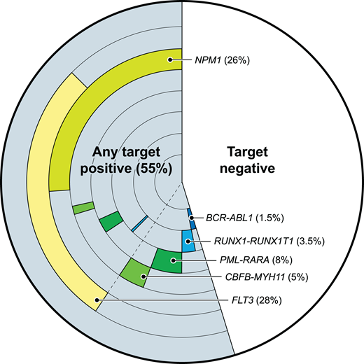 Some validated molecular targets for AML MRD testing. The frequency and co-occurrence of those molecular targets with evidence of utility for AML MRD testing, based on 200 adult AML patients from the Cancer Genome Atlas database.
