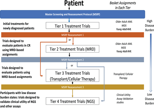 The upcoming NCI Precision Medicine Initiative MyeloMATCH. Schematic showing potential journey of a patient enrolled in MyeloMATCH through the protocol tiers.