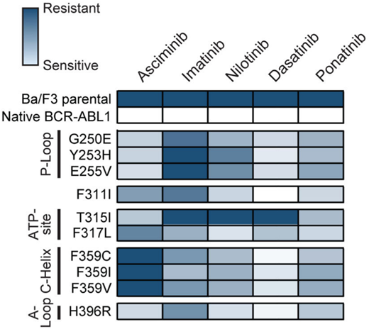 Heat map summary of IC50 values for TKIs against a panel of Ba/F3 cell lines expressing KD mutations. ATP, adenosine triphosphate. Reproduced with permission from Eide et al.21