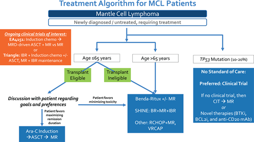 Treatment algorithm for untreated MCL patients.