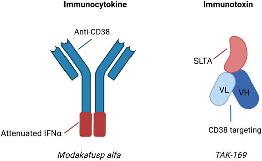 Examples of immunocytokines and immunotoxins undergoing clinical trial evaluation in MM. Immunocytokines are antibody-cytokine fusion proteins, while immunotoxins are fusion proteins containing antibody fragments and a biologic toxin. SLTA, Shiga-like toxin A subunit; VH, heavy chain variable region; VL, light chain variable region. Created with BioRender.com.