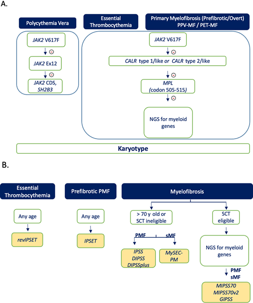 Flowchart on how we use genomic assays for diagnosis (A) and for prognostication in patients (B) with an established diagnosis of MPN. Selected information (cytogenetics, JAK2 V617F and CALR mutations) collected at the time of diagnosis may also inform risk scores at step B. NGS analysis for myeloid genes, if not available at the time of original investigation, is recommended in patients with PMF and sMF who are transplant eligible. PET, post-ET; PPV, post-PV.