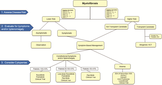 Management algorithm for patients with chronic-phase myelofibrosis. ESA, erythropoiesis stimulating agent; GIPSS, Genetically Inspired Prognostic Scoring System; MIPSS, Mutation-Enhanced International Prognostic Scoring System; MYSEC-PM, myelofibrosis secondary to PV and ET-prognostic model.