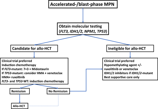 Potential treatment algorithm for patients with blast-phase MPN.