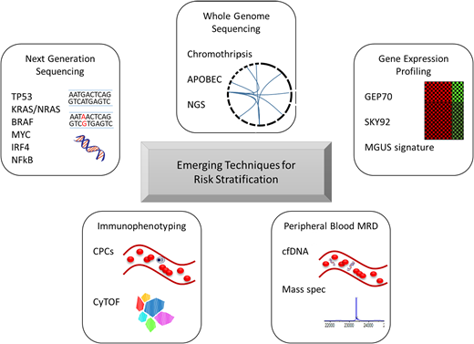 Emerging techniques for risk stratification in multiple myeloma. Each of these tools has potential for researching disease biology and for implementation in the clinic for real-time assessment of disease control and/or risk. cfDNA, cell-free DNA; CPCs, circulating plasma cells; CyTOF, mass cytometry time of flight; MGUS, monoclonal gammopathy of undetermined significance; NGS, next-generation sequencing.