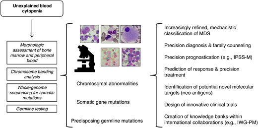 A future approach to the diagnosis and risk stratification of MDS that will enable precision treatments. To make this approach feasible, ad hoc infrastructures should be built into our health systems.7