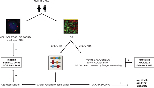 Ph-like ALL diagnostic algorithm used by the Children's Oncology Group. RT-PCR, reverse transcriptase polymerase chain reaction; TSLPR, thymic stromal lymphopoietin receptor (encoded by CRLF2).