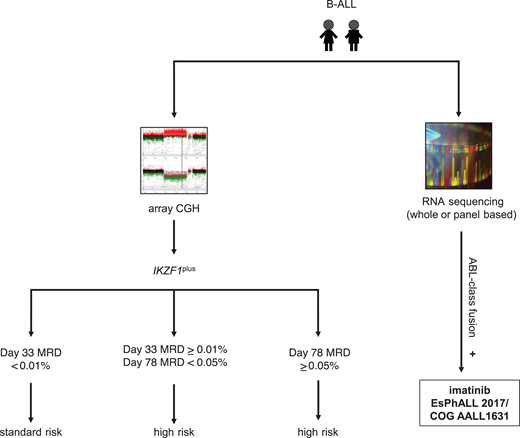 Ph-like ALL diagnostic algorithm used by the AIEOP-BFM consortium. CGH, comparative genomic hybridization; IKZF1plus, deletion of IKZF1 and other B-cell transcription factors as defined by Stanulla et al.56