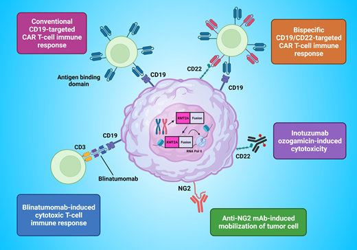 Immunotherapeutic approaches for the treatment of infants with acute lymphoblastic leukemia. mAb, monoclonal antibody.