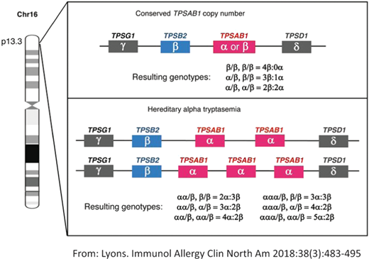 Hereditary alpha tryptasemia.