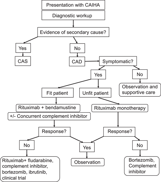 Treatment algorithm for cold agglutinin disease. Adapted with permission from S. Berentsen.17