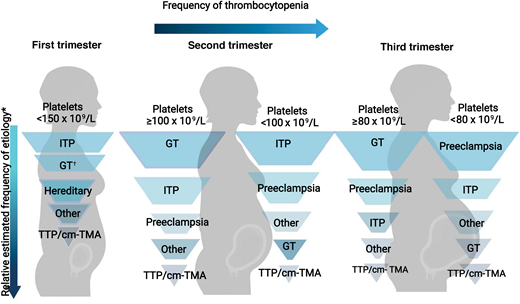 Relative frequency of etiology of thrombocytopenia during pregnancy by trimester. Relative frequency estimated based on review of literature and experience as described in Cines and Levine3 includes infection, disseminated intravascular coagulation, drug-induced thrombocytopenia, and bone marrow failure.