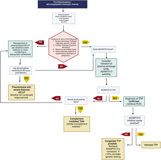 Evaluation of thrombotic microangiopathies presenting in the second and third trimesters. This schema highlights recommended testing to distinguish preeclampsia with severe features/HELLP from cm-TMA or TTP. Not all possible etiologies to consider are listed in this brief schema.