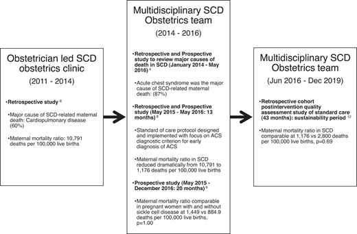 The impact of the multidisciplinary SCD obstetrics team approach to care: the Ghanaian experience.