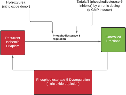 A chart showing a potential synergy of combining hydroxyurea and PDE-5 in controlling recurrent priapism.