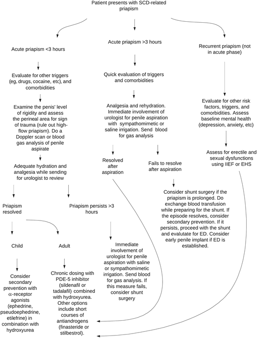 Flowchart for evaluation and treatment of priapism in SCD. ED, erectile dysfunction; EHS, Erection Hardness Score.