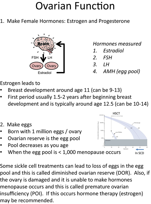 Concepts to include in discussions about ovarian function. FSH, follicle-stimulating hormone; LH, luteinizing hormone.