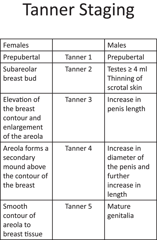 Tanner staging pubertal development.
