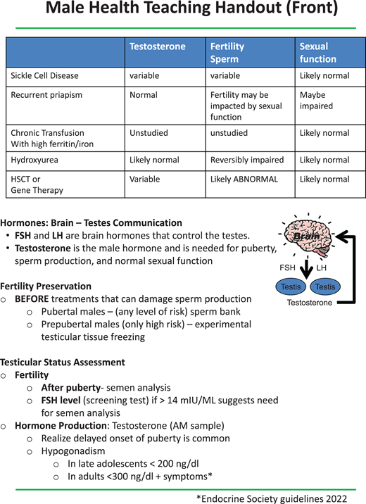 Teaching sheets on male health to aid discussions with patients. FSH, follicle-stimulating hormone; LH, luteinizing hormone.