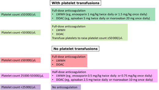 Anticoagulation management in patients with CAT and thrombocytopenia. DOAC, direct oral anticoagulant; LMWH, low-molecular-weight heparin.
