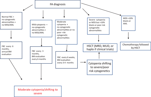 Postdiagnosis hematologic monitoring and decision-making process. Modified from Dufour.1 BM, bone marrow; FBC, full blood count; haplo, haploidentical donor; MRD, matched related donor; MUD, matched unrelated donor.