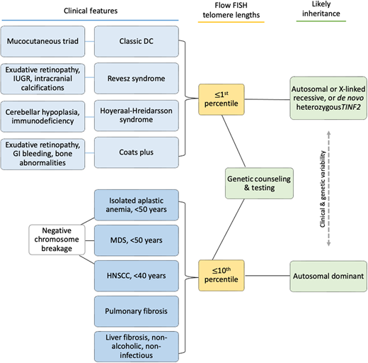 Clinical features underlying TBDs and possible diagnostic evaluation results. Telomere length testing should be considered for all patients with the indications shown. All patients with BMF or head/neck squamous cell carcinoma (HNSCC) should also have chromosome breakage testing of blood (and skin, if indicated) to rule out Fanconi anemia. Family history may be helpful if it is present, but many patients do not have affected relatives due to variable disease penetrance, expressivity, and/or genetic anticipation.