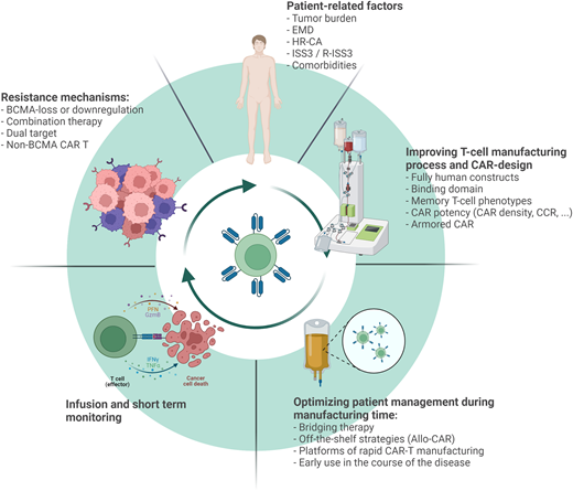 Several strategies are being evaluated to improve the current clinical efficacy of CAR T-cell therapy in the context of RRMM. These strategies can be divided into patient-related factors, aspects related to the manufacturing process and CAR design, patient management during bridging time and infusion, and finally, understanding the mechanisms of resistance and CAR failure. CCR, chimeric costimulatory receptor; EMD, extramedullary disease; HR-CA, high-risk cytogenetic abnormalities.
