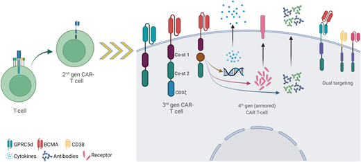 Possibilities for the future development of CAR T-cell therapy. Depicted are some of the novel new-generation CAR T constructs, including third-generation CARs incorporating 2 different costimulatory domains; fourth-generation CARs (also named “armored” CARs) incorporating transducible genes codifying for cytokines, antibodies, or receptors (among others); and novel target (non-BCMA) and dual targeting strategies, including tandem CAR and dual CAR.