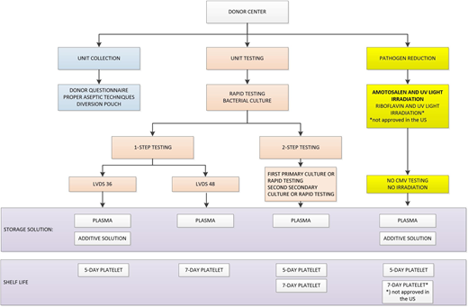 Summary of steps in bacterial contamination mitigation strategies. CMV, cytomegalovirus.