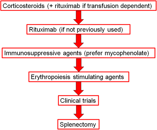Proposed treatment algorithm for wAIHA.