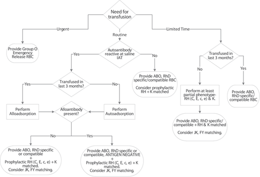 Initial selection of blood for patients with WAIHA. The algorithm is a suggested approach for the selection of RBC units in patients with WAIHA who are initially evaluated by the transfusion service. Serologic phenotyping of the patient's RBCs and provision of prophylactic antigen-matched RBC units are dependent on the available antisera at the institution and the patient's recent transfusion history. If it is discovered that the patient has a known history of alloantibodies, provide corresponding antigen-negative RBC units unless it would delay transfusion in urgent situations.