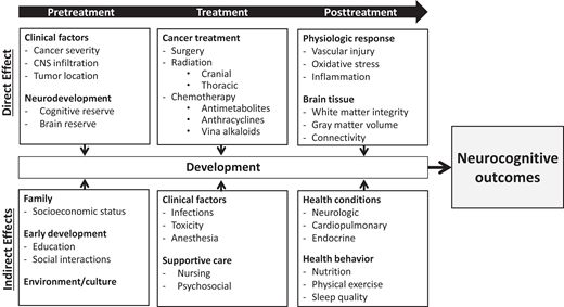 Visual abstract of common direct and indirect effects on neurocognitive development with onsets that occur prior to treatment, during treatment, and following treatment.