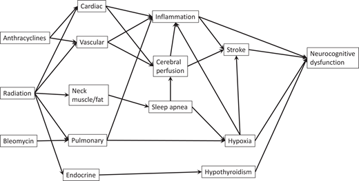 Schema of common contributions and pathways from treatment to neurocognitive outcome in survivors of Hodgkin lymphoma. Radiation and chemotherapy treatment affects cardiac, pulmonary, and endocrine function, as well as vascular and muscle development. This impact, in turn, influences cerebrovascular perfusion, which can result in neurocognitive dysfunction.
