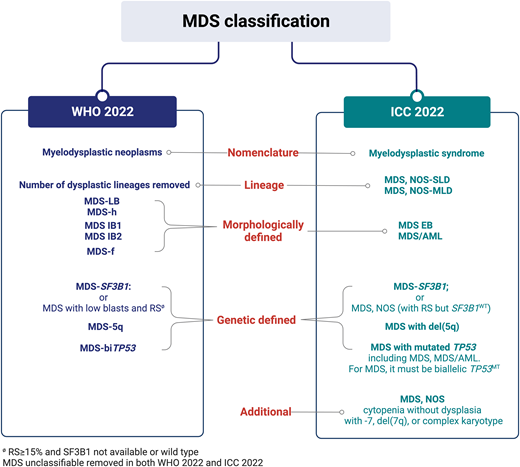 MDS classification comparison between WHO 2022 and ICC 2022. Bi , biallelic; f , fibrosis; h , hypocellular; IB , increased blasts; LB , low blasts; NOS-MLD , not otherwise specified with multi-lineage dysplasia; NOS-SLD , not otherwise specified with single-lineage dysplasia; NOS-MLD RS , ringed sideroblasts.