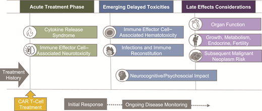General approach to follow-up after CAR T-cell infusion. CAR, chimeric antigen receptor.