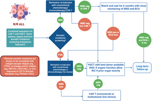 Proposed clinical decision-making flowchart for R/R pediatric ALL. This figure proposes a novel schema for clinical decision making regarding the selection of definitive therapy for R/R pediatric ALL. Given the vast number of considerations that influence the selection of definitive therapy in these difficult cases, this schema provides a framework to guide clinical decision making.