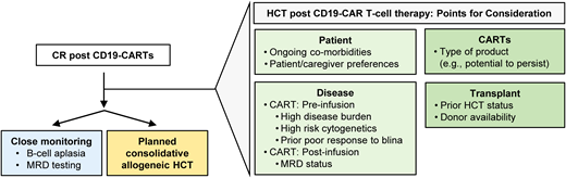 Management approach for patients who achieve remission after CD19 CAR T-cell therapy. The scheme highlights key factors to consider. blina, blinatumomab; CARTS, CAR T cells; MRD, minimal residual disease.
