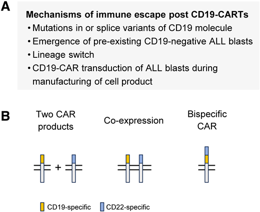Mechanism and prevention of antigen loss variants post CD19 CAR T-cell therapy. (A) Mechanism of CD19-targeted immune escape. (B) CAR T-cell products to enable dual targeting of CD19 and CD22.