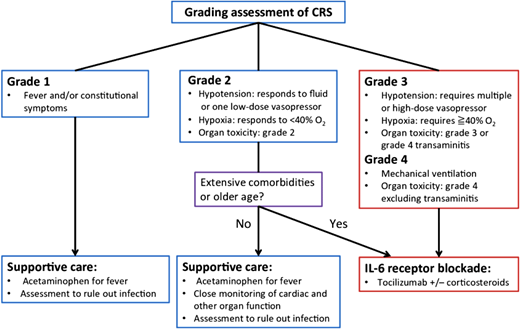 CRS is a known complication of T-cell redirecting therapy, observed in patients receiving CAR-T and/or bispecific antibodies, with clinical manifestations a result of an exuberant immune activation and concomitant proinflammatory cytokine production. Makita et al.20 Grading is predicated on progressive symptoms from the hyperinflammatory state ranging from fevers to the development of hypoxia and vasodilatory mediated hypotension. Stepwise but rapid escalation of therapy is needed according to the severity of symptoms and is critical to avoid adverse clinical outcomes.
