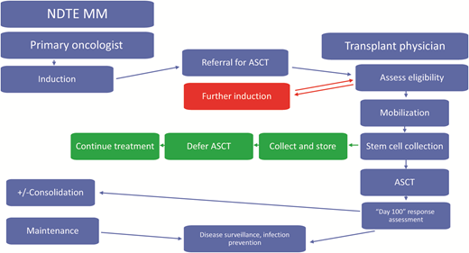 Management of a newly diagnosed transplant-eligible (NDTE) patient with multiple myeloma (MM): key roles of the primary oncologist and transplant physician. ASCT, autologous stem cell transplantation.