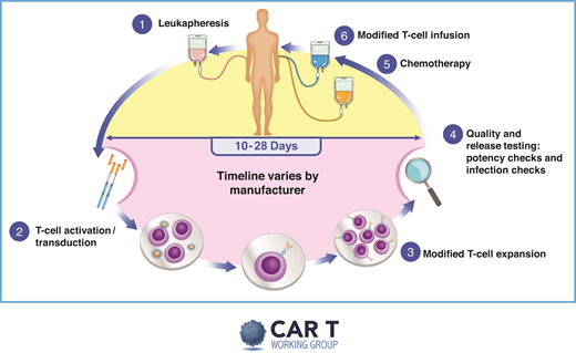 Overview of CAR T therapy. Reproduced with permission from the slide library of the chimeric antigen receptor (CAR) T Working Group (v2 9.4.2019).