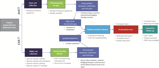 AHCT vs CAR T therapy: similarities and differences. AHCT, autologous hematopoietic cell transplantation; CAR, chimeric antigen receptor; IT, information technology; PBMC, peripheral blood mononuclear cells.