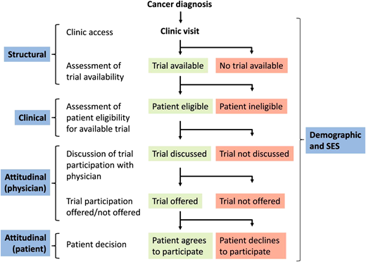 Model pathway of trial enrollment process. SES, socioeconomic status. Reproduced with permission from Unger JM, Cook E, Tai E, Bleyer A. The role of clinical trial participation in cancer research: barriers, evidence, and strategies. Am Soc Clin Oncol Educ Book. 2016;35:185-198.32