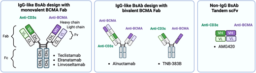 Structure of anti-BCMA bispecific antibodies. Anti-BCMA BsAb can be classified into immunoglobulin G (IgG)-like and non-IgG-like based on their structures. IgG-like BsAb consist of antibody binding fragments (Fab) which recognize target antigens, and a crystallizable fragment (Fc). In addition to having one Fab targeting CD3 (anti-CD3ε), BsAb with monovalent BCMA Fab consists of one Fab targeting BCMA (anti-BCMA). BsAb with bivalent BCMA Fabs are designed with either two anti-BCMA Fabs or two anti-BCMA variable domain of heavy chains (VH). Non-IgG BsAb, AMG420, is synthesized as tandem single chain Fvs and lacks Fc. CH, constant domain of heavy chain; CL, constant domain of light chain; Fv, variable fragment; VL, variable domain of light chain.