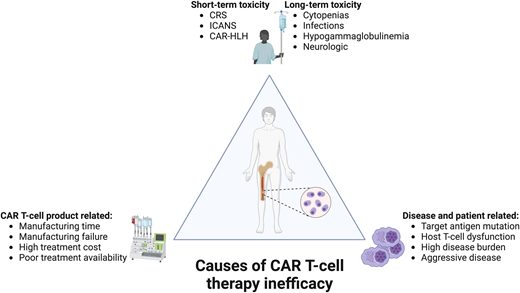 Causes of CAR T-cell therapy inefficacy: therapy inefficacy for patients with MM receiving CAR T-cell therapy can be due to disease- or patient-related factors, although logistical concerns relating to product manufacturing and cost/availability are also significant. Therapy-related toxicity can also represent a challenge even in patients with strong responses. CAR-HLH, Chimeric antigen receptor T cell-related hemophagocytic lymphohistiocytosis.